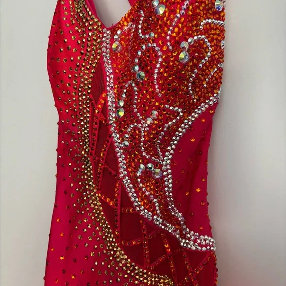 Latin Rhythm Competition Dress - Picture 10 of 10